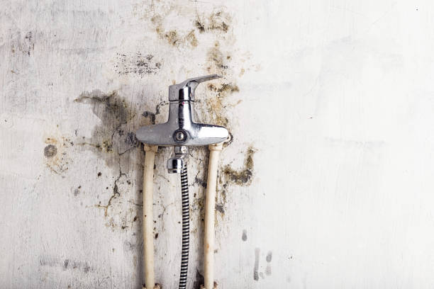 Best Residential Mold Removal  in Lathrop, MO