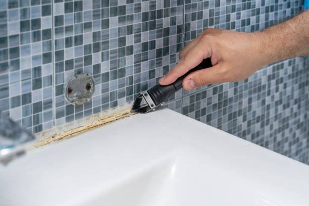 Best Mold Removal Company Near Me  in Lathrop, MO