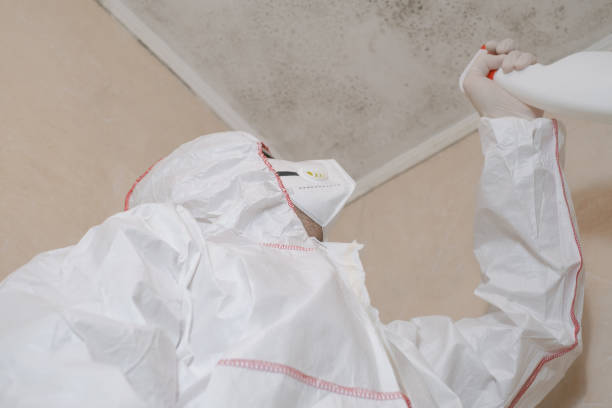 Best Mold Removal and Inspection  in Lathrop, MO