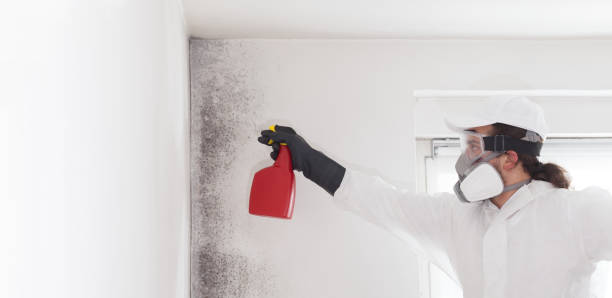 Best Mold Cleaning Services  in Lathrop, MO