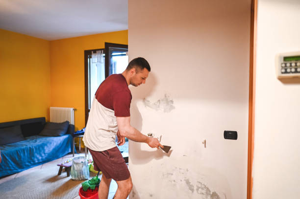 Best Mold Removal Process  in Lathrop, MO